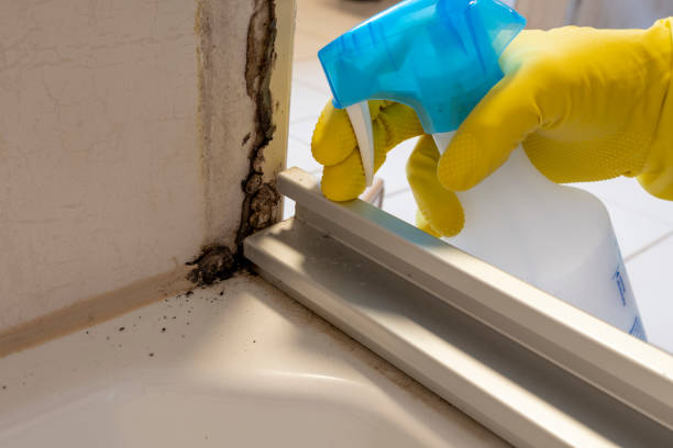 Saugatuck, CT Mold Remediation Company